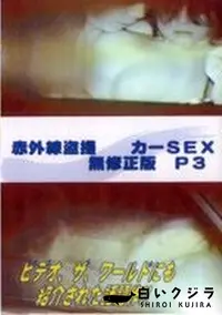 【赤外線盗撮 カーSEX 無修正版 P3】の一覧画像