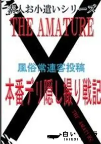 【素人お小遣いシリーズ 30 本番デリ隠し撮り戦記】の一覧画像