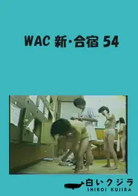 【WAC 新・合宿 54 】の一覧画像