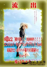 【【極秘流出】愛□りょう リメイク Disc-2】の一覧画像