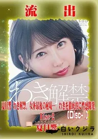 【【極秘流出】夏□響 リメイク Disc-2】の一覧画像