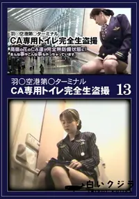 【羽○空港第○ターミナルCA専用トイレ完全生盗撮13】の一覧画像