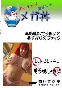 【赤毛爆乳でか熟女の昼下がりのファック 　】の一覧画像