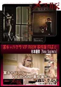 【某キャバクラ VIP ROOM 事件簿 FILEⅡ】の一覧画像