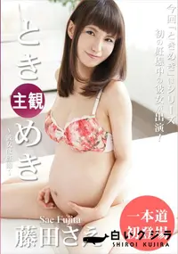 【ときめき ～彼女は妊婦～】の一覧画像