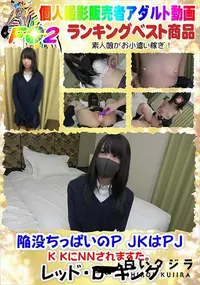 【陥没ちっぱいのP JKはPJ K KにNNされますた。】の一覧画像