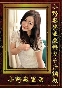 【小野麻里亜東熱ガチ汁調教】の一覧画像